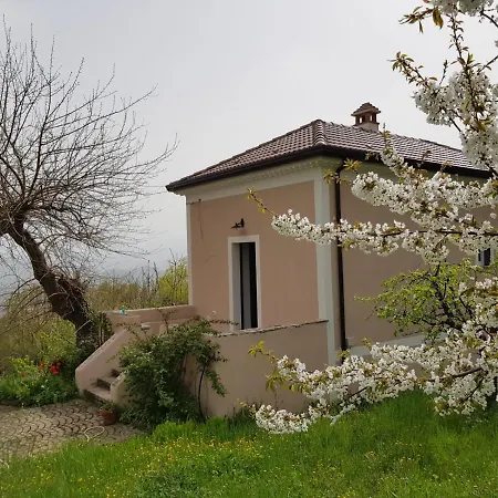 L'Antico Gelso-3